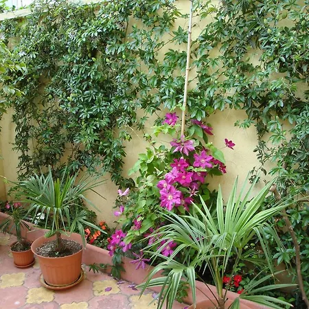 Guest house Stela Tsarevo