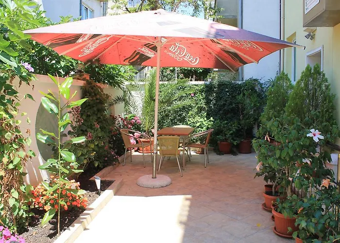 Guest house Stela 3*