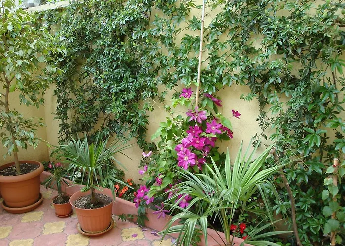 Guest house Stela Tsarevo